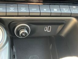 
 Dodge Hornet full									