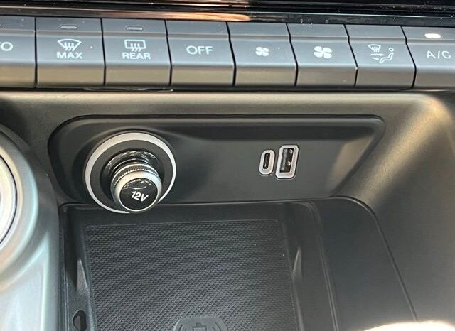 
 Dodge Hornet full									