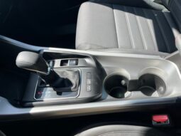 
 Dodge Hornet full									