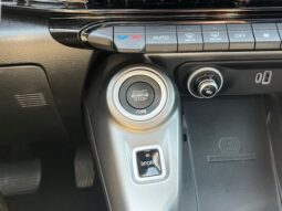 
 Dodge Hornet full									