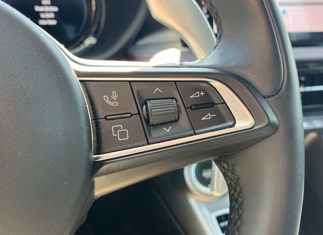 
 Dodge Hornet full									