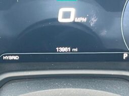 
 Dodge Hornet full									