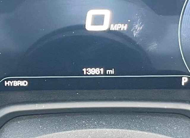 
 Dodge Hornet full									