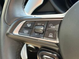 
 Dodge Hornet full									