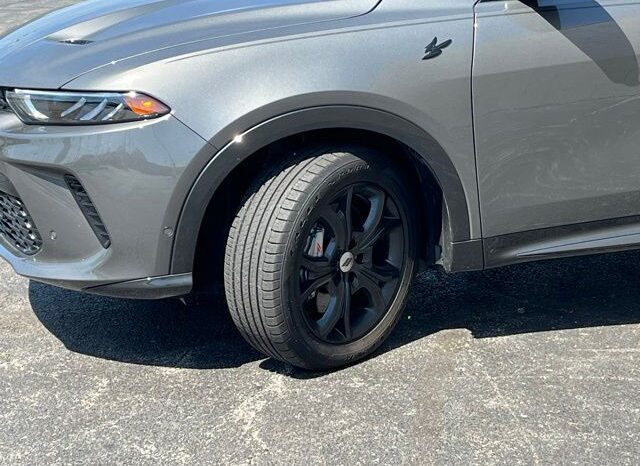 
 Dodge Hornet full									