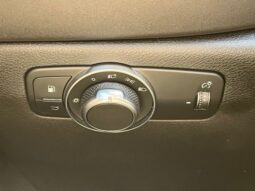 
 Dodge Hornet full									