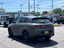 
 Dodge Hornet full									