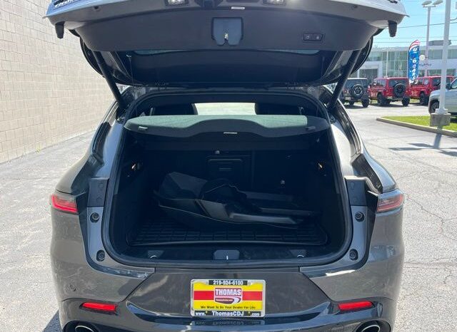 
 Dodge Hornet full									