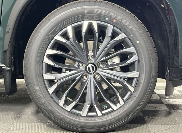 
 Nissan Rogue full									