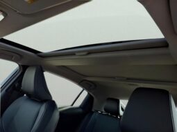 
 Toyota Prius full									