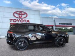 
 Toyota RAV4 Plug-In Hybrid full									