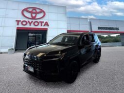 
 Toyota RAV4 Plug-In Hybrid full									