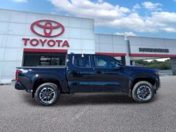 
 Toyota Tacoma full									