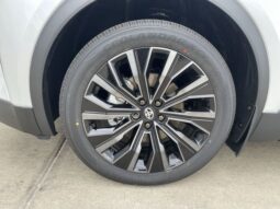 
 Toyota C-HR full									