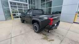 Toyota Tacoma full