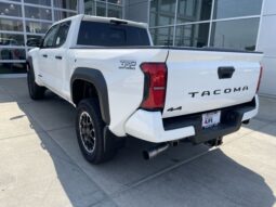 
 Toyota Tacoma full									