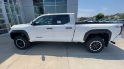 
 Toyota Tacoma full									