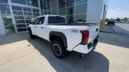 
 Toyota Tacoma full									