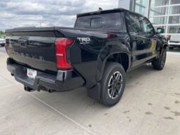
 Toyota Tacoma full									