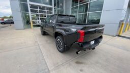 
 Toyota Tacoma full									