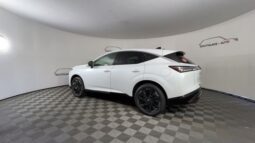 
 Nissan Murano full									
