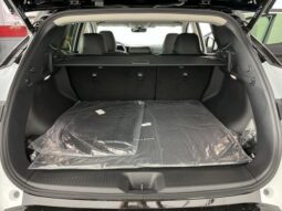 
 Nissan Murano full									