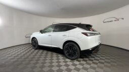 
 Nissan Murano full									