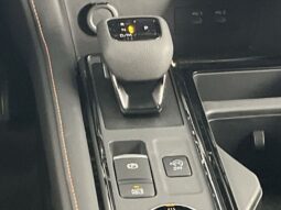 
 Nissan Pathfinder full									
