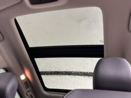 
 Nissan Pathfinder full									