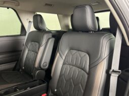
 Nissan Pathfinder full									