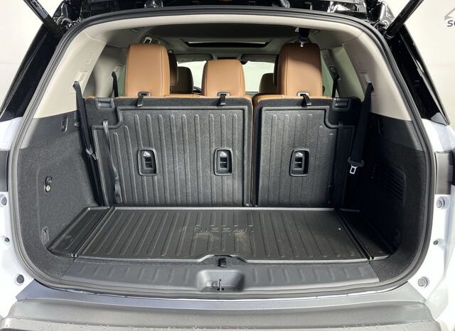 
 Nissan Pathfinder full									
