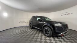 
 Nissan Pathfinder full									