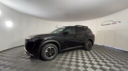 
 Nissan Pathfinder full									
