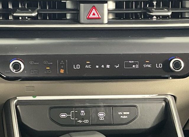 
 Kia Carnival full									