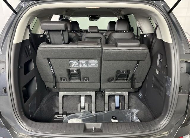 
 Kia Carnival full									