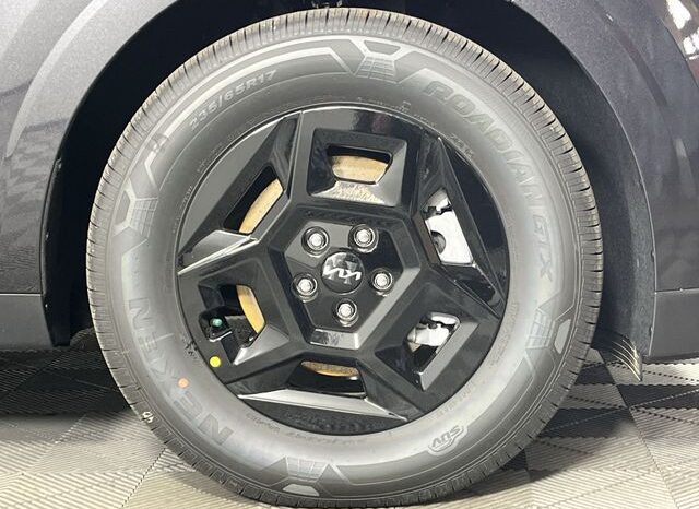 
 Kia Carnival full									
