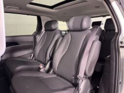 
 Kia Carnival Hybrid full									