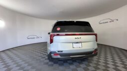 
 Kia Carnival Hybrid full									