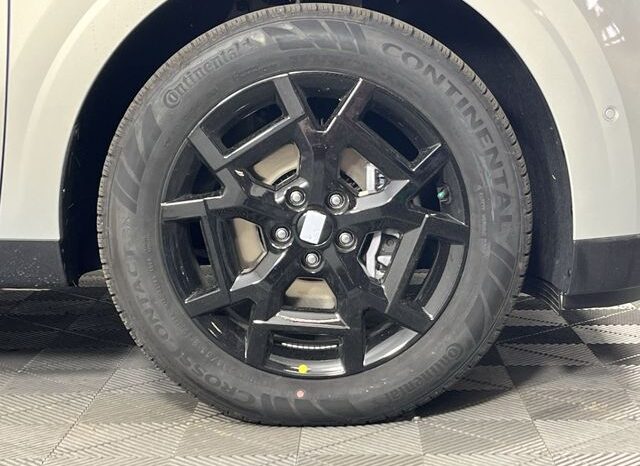 
 Kia Carnival Hybrid full									