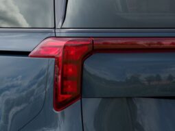 
 Kia Carnival full									