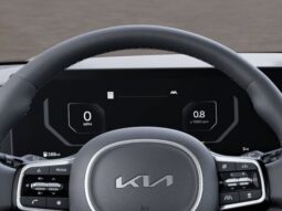 
 Kia Carnival full									
