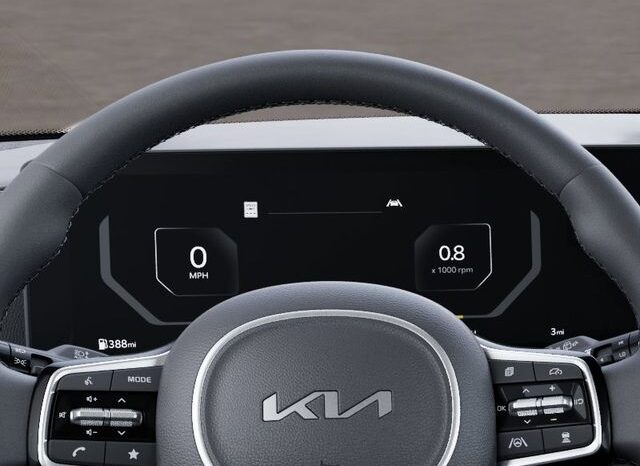 
 Kia Carnival full									