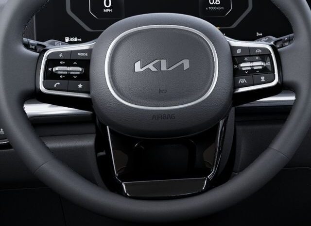 
 Kia Carnival full									