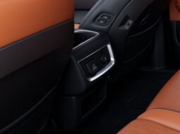 
 Kia Carnival full									