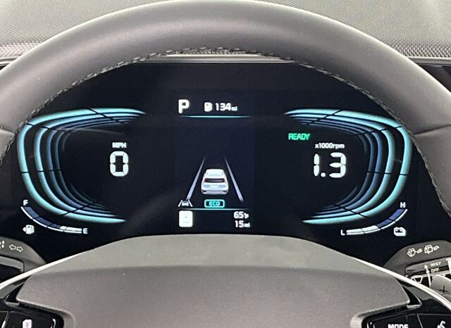 
 Kia Niro full									