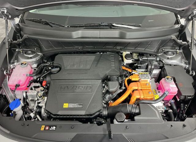 
 Kia Niro full									