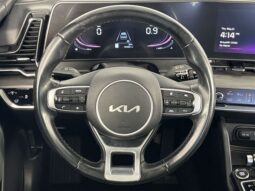 
 Kia Sportage full									
