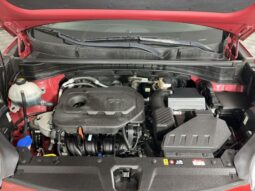 
 Kia Sportage full									