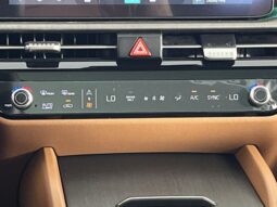 
 Kia Sportage Hybrid full									