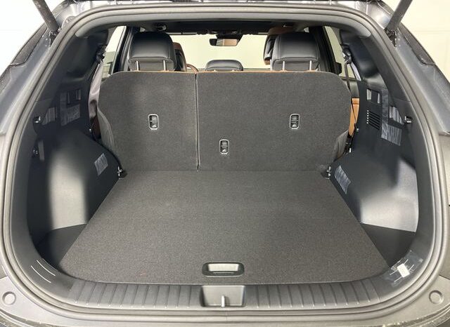 
 Kia Sportage Hybrid full									